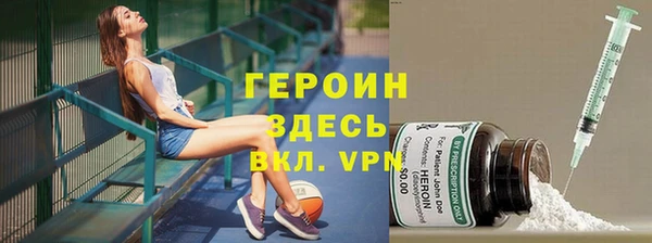 прущие грибы Волоколамск