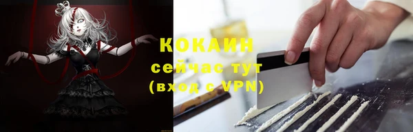 прущие грибы Волоколамск