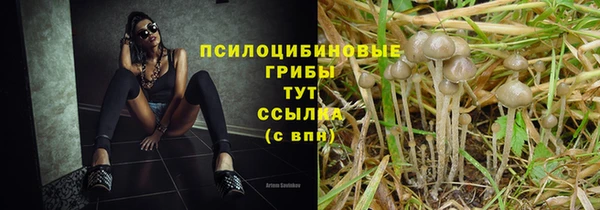 тгк Володарск
