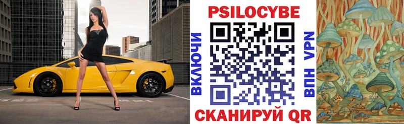 Галлюциногенные грибы Psilocybe  мега   Казань 